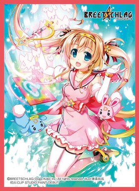 ����饹�꡼�֥��쥯����� �ޥåȥ��꡼�� BREETSCHLAG �ڷ���� C 