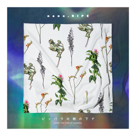 nano.RIPE 6thХ֥ԥåѥμβǡ [̾]nano.RIP( ΤΤӤ Ф  OPơޡ֤Τ餯׼Ͽ) 