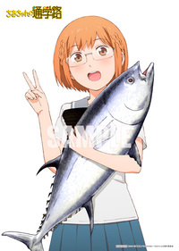 ����å��ǳ���