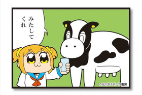 ݥץƥԥԥå BIG̥Хå 25 