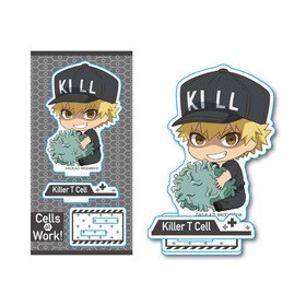 Ϥ餯˦ 央äȥե奢 顼T˦ 