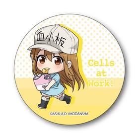 Ϥ餯˦ Ƥȥ̥Хå 쾮 