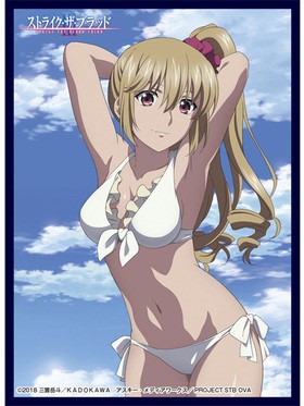 å ꡼֥쥯 Vol.15 ȥ饤֥å Ǭ 