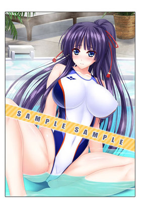 ��˥��ꥺ�ࡦ����ƥå� A3-DAYS ��˥��ꥢ����륢���ȥѥͥ� ŷ�� ���˿���Ver. 