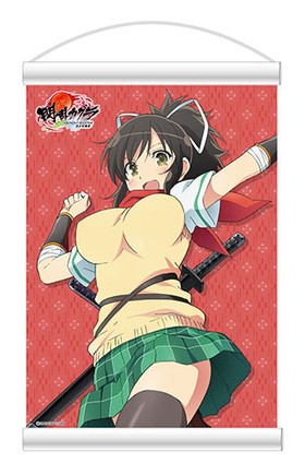 ���𥫥��� SHINOVI MASTER-���������- �ߥ˥ݥ����� ��Ļ 