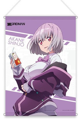 SSSS.GRIDMAN ����������B2���ڥ��ȥ꡼ ���򥢥��� 
