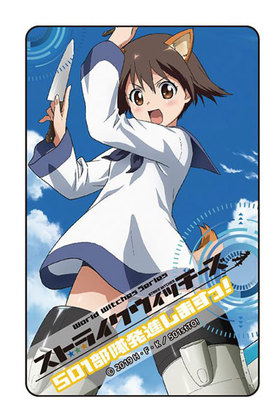 ���ȥ饤�������å����� 501����ȯ�ʤ��ޤ��á� IC�����ɥ��ƥå��� �ƥ������ӥ��奢�� 