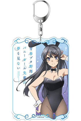 Ľե֥ϺϥХˡڤ̴򸫤ʤ ǥۥ  Хˡver. 