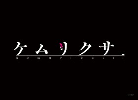 饹꡼֥쥯 ޥåȥ꡼ ꥯ  