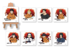 ξ ȥ졼ǥ󥰤פХ쥯1BOX 