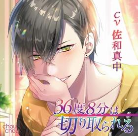 �ɥ��CD��36��8ʬ���ڤ������ 