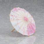 ����ץ����6