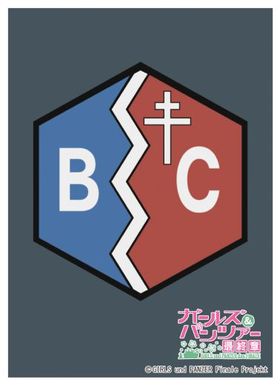 ����饹�꡼�֥��쥯����� �ޥåȥ��꡼�� �����륺���ѥ�ĥ��� �ǽ��� BC��ͳ�ر� 