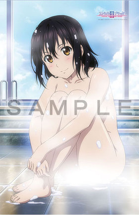 ���ȥ饤���������֥�å� �����륱�å� ��� ����Ϥ 