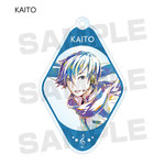 ����ץ����6