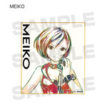 ����ץ����5