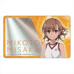 �Ȥ���ʳؤ�Ķ�ż�ˤT IC�����ɥ��ƥå��� ������� C���������� 