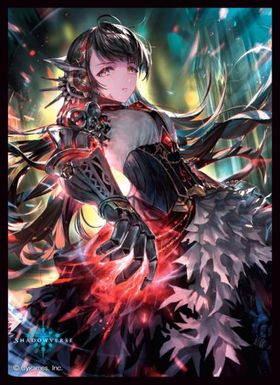 饹꡼֥쥯 ޥåȥ꡼ Shadowverse Ȥιԡ 