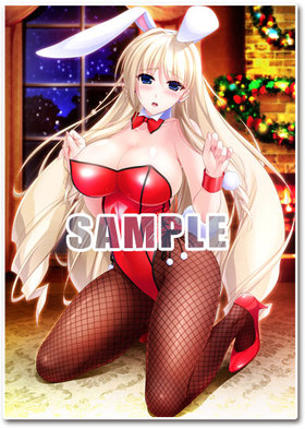 ��˥��ꥺ�ࡦ����ƥå� A3-DAYS ��˥��ꥢ�����ѥͥ� ����������ꥢ �Хˡ�R.ver 