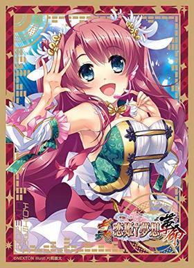 NEXTON륺꡼֥쥯Vol.095 ɱ̴-̿- έ 饤Ver. 