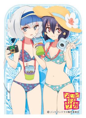 ����饹�꡼�֥��쥯����� �ޥåȥ��꡼�� ����ӥ��ɥ��� B ��ҡ��� 