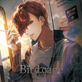 �ɥ��CD��birdcage-lovers-�� 