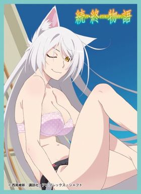 ����饹�꡼�֥��쥯����� �ޥåȥ��꡼�� ³����ʪ�� �֥�å����� 