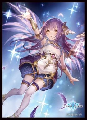 饹꡼֥쥯 ޥåȥ꡼ Shadowverse ͥθ 