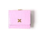 ����ץ����2