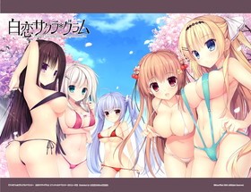 �ӥ��奢�륿�ڥ��ȥ꡼ ���������������� ���ڥ��ȥ꡼ 