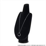 ����ץ����2