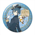 ����ץ����6