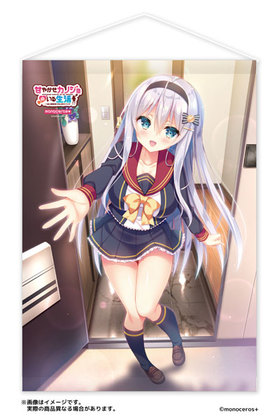 �Ť䤫�����Υ���Τ������� -���Ӥʶ�ȱ�������Ϲ����Ǥ�����- �����˥� B2���ڥ��ȥ꡼ 