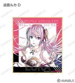 ����ץ����12