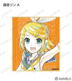 ����ץ����5