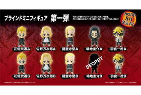 ٥󥸥㡼 ֥饤ɥߥ˥ե奢 ơ1BOX 