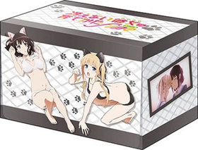 ֥ ǥåۥ쥯 V3 Vol.18  㤨ʤΰƤ Fine ƣá߷¼ڥ󥵡 