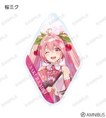 ����ץ����1