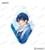 ����ץ����6