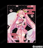 ����ץ����2