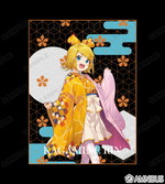 ����ץ����2