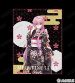 ����ץ����2