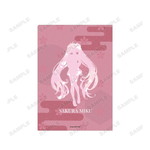 ����ץ����1