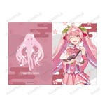 ����ץ����2