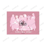 ����ץ����1