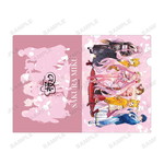 ����ץ����2