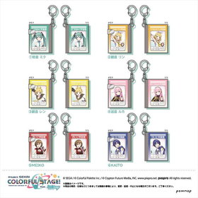 �ץ��������ȥ����� �ߥ˥ߥ˳ؽ�Ģ�����ۥ����col. F �С�����롦���󥬡� ��1BOX��  �ѥå���������