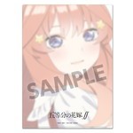 ����ץ����2