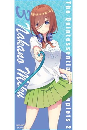 ����ʬ�βֲǢ� �ե륫�顼������ ����  �ѥå���������