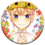 ����ץ����6